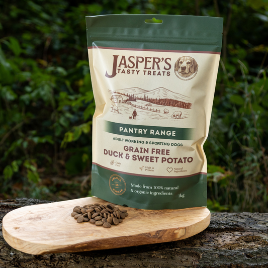 Grain Free Duck and Sweet Potato Dry Dog Food